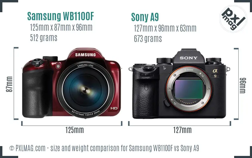 Samsung WB1100F vs Sony A9 size comparison