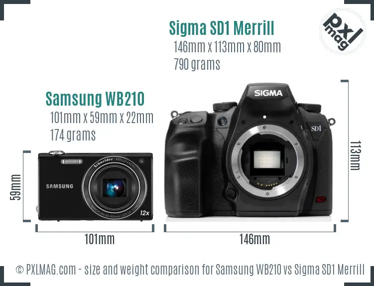 Samsung WB210 vs Sigma SD1 Merrill size comparison