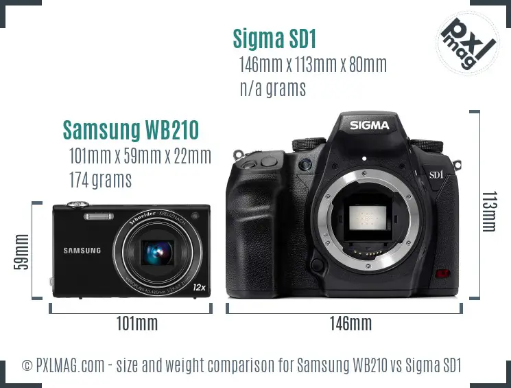 Samsung WB210 vs Sigma SD1 size comparison