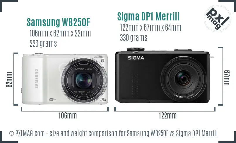 Samsung WB250F vs Sigma DP1 Merrill size comparison