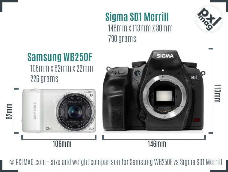 Samsung WB250F vs Sigma SD1 Merrill size comparison