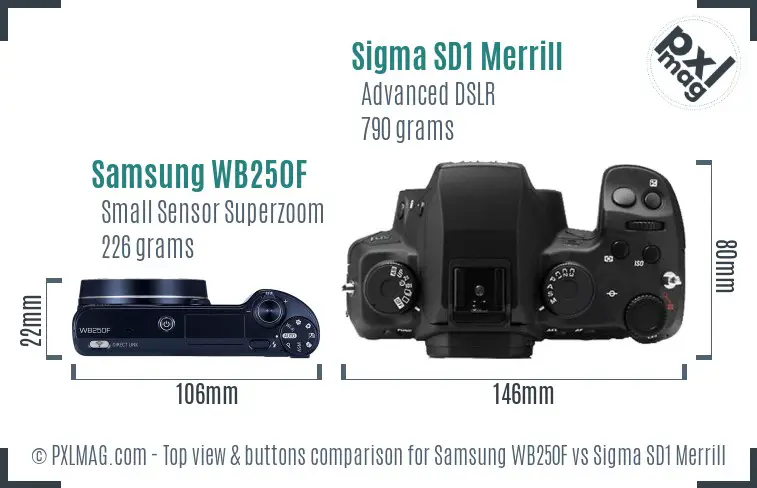 Samsung WB250F vs Sigma SD1 Merrill top view buttons comparison