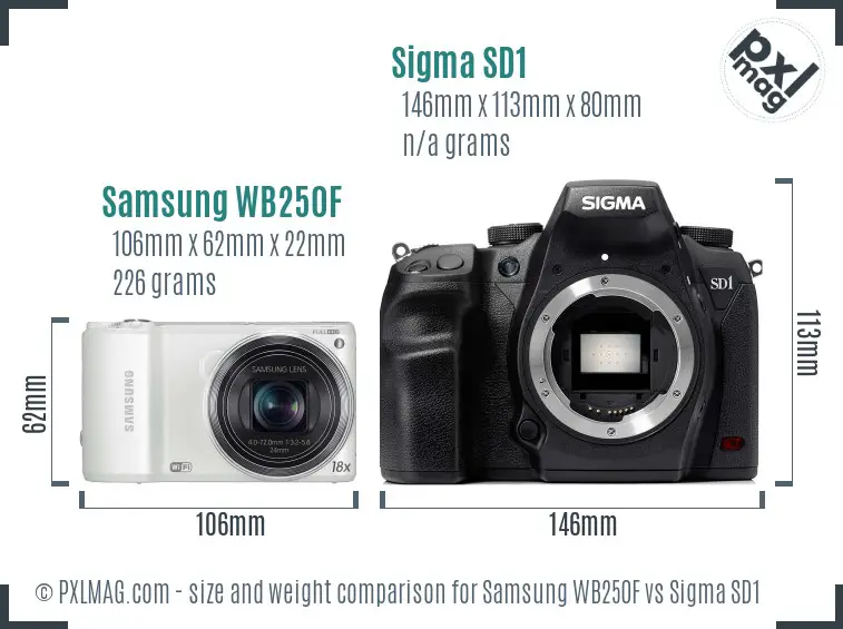 Samsung WB250F vs Sigma SD1 size comparison