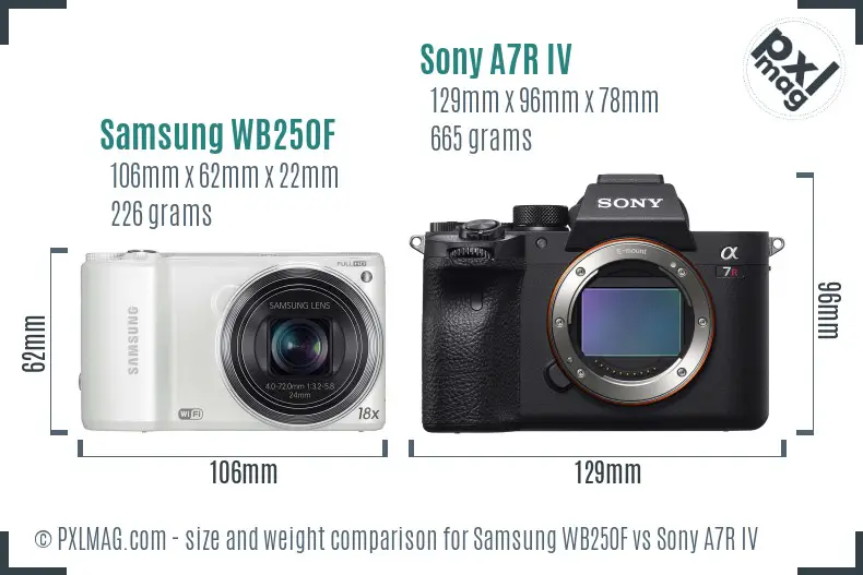 Samsung WB250F vs Sony A7R IV size comparison