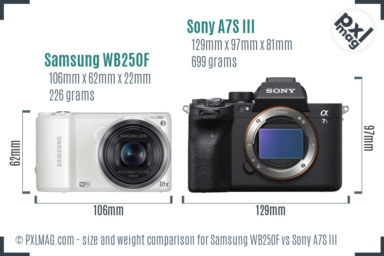 Samsung WB250F vs Sony A7S III size comparison