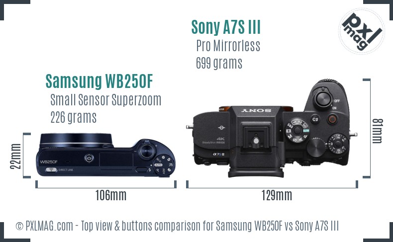 Samsung WB250F vs Sony A7S III top view buttons comparison