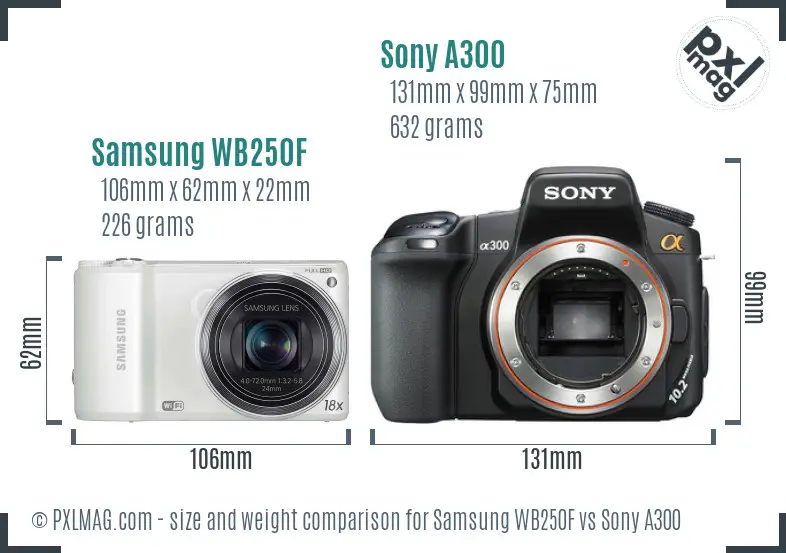 Samsung WB250F vs Sony A300 size comparison