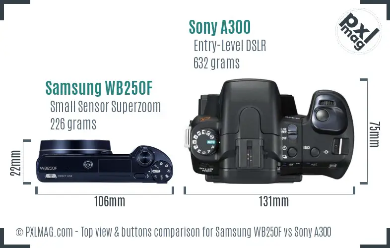 Samsung WB250F vs Sony A300 top view buttons comparison
