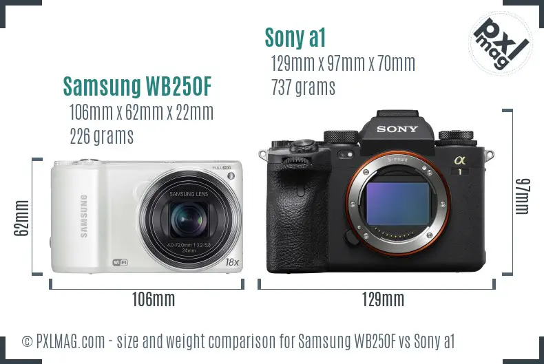 Samsung WB250F vs Sony a1 size comparison