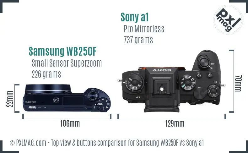 Samsung WB250F vs Sony a1 top view buttons comparison
