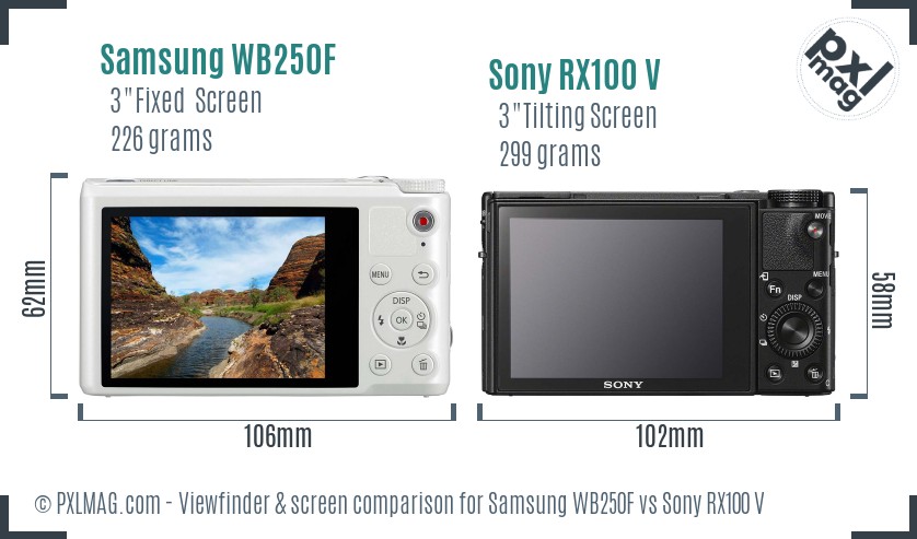 Samsung WB250F vs Sony RX100 V Screen and Viewfinder comparison