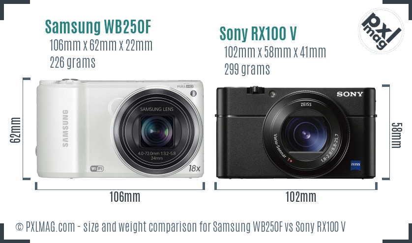 Samsung WB250F vs Sony RX100 V size comparison