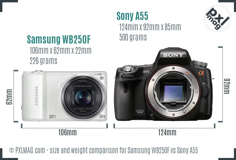 Samsung WB250F vs Sony A55 size comparison