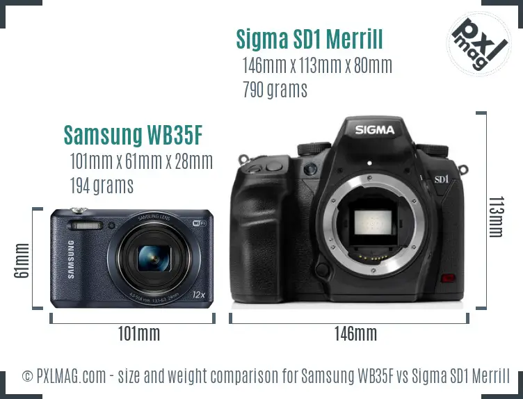 Samsung WB35F vs Sigma SD1 Merrill size comparison