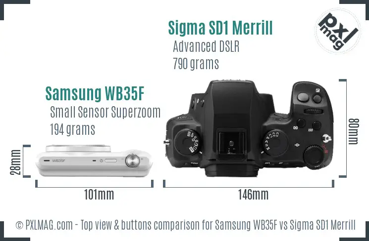 Samsung WB35F vs Sigma SD1 Merrill top view buttons comparison