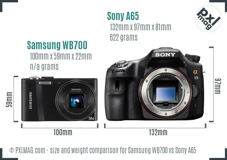 Samsung WB700 vs Sony A65 size comparison