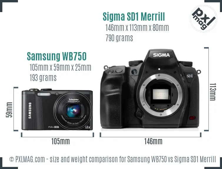 Samsung WB750 vs Sigma SD1 Merrill size comparison