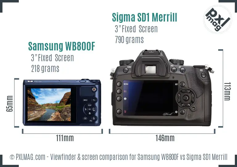 Samsung WB800F vs Sigma SD1 Merrill Screen and Viewfinder comparison