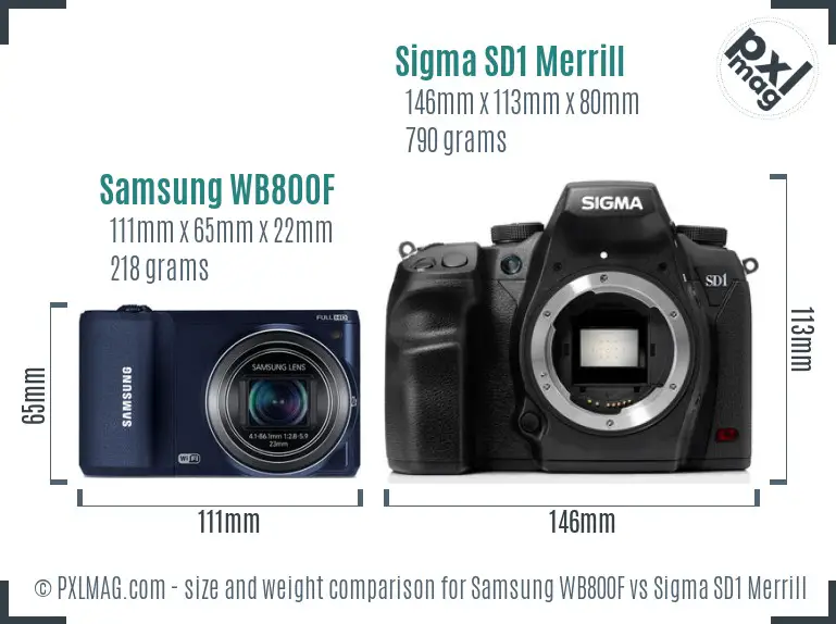 Samsung WB800F vs Sigma SD1 Merrill size comparison