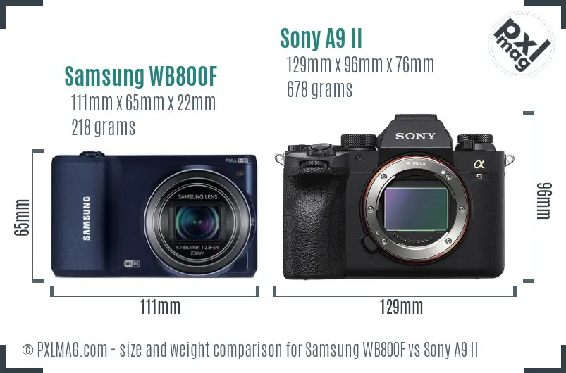 Samsung WB800F vs Sony A9 II size comparison