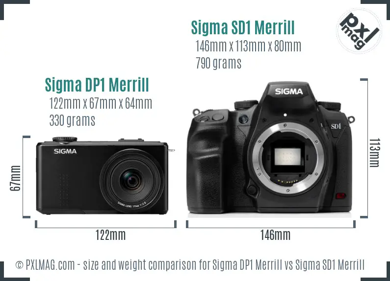 Sigma DP1 Merrill vs Sigma SD1 Merrill size comparison
