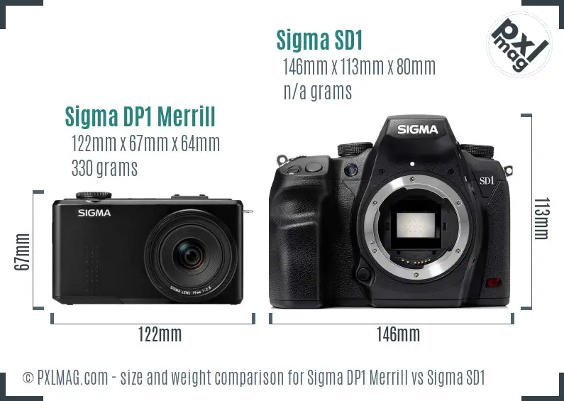 Sigma DP1 Merrill vs Sigma SD1 size comparison