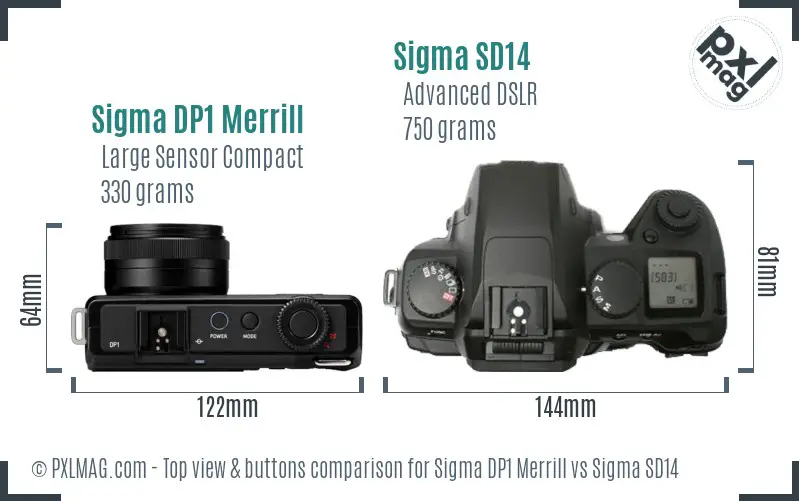 Sigma DP1 Merrill vs Sigma SD14 top view buttons comparison
