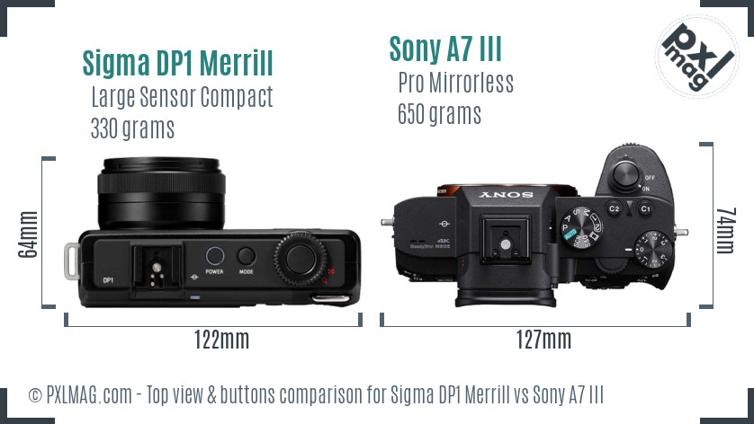 Sigma DP1 Merrill vs Sony A7 III top view buttons comparison