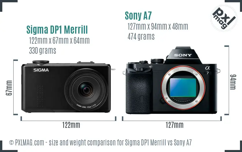 Sigma DP1 Merrill vs Sony A7 size comparison