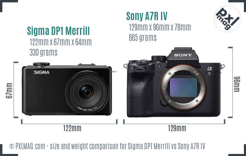 Sigma DP1 Merrill vs Sony A7R IV size comparison