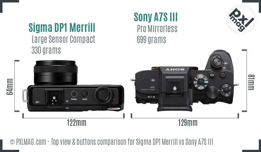 Sigma DP1 Merrill vs Sony A7S III top view buttons comparison