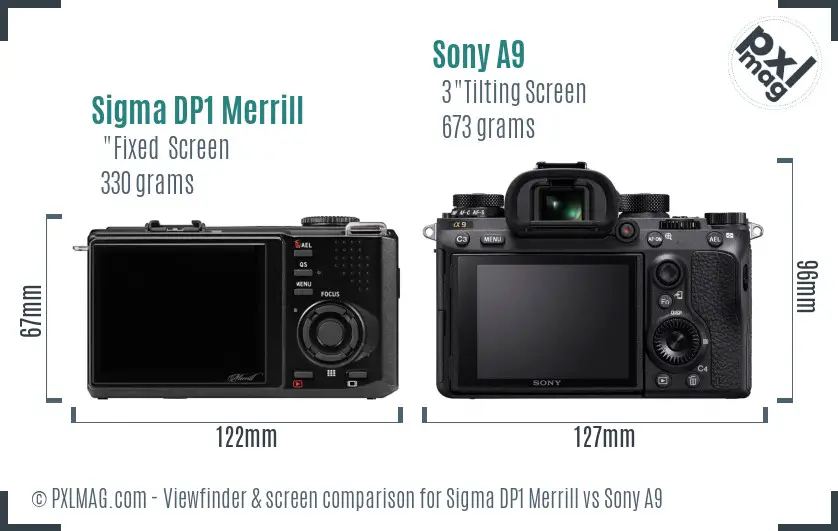 Sigma DP1 Merrill vs Sony A9 Screen and Viewfinder comparison