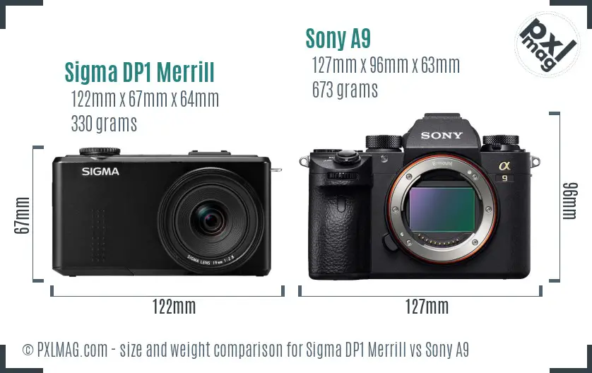 Sigma DP1 Merrill vs Sony A9 size comparison