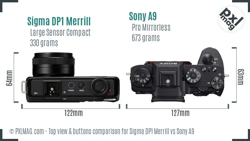 Sigma DP1 Merrill vs Sony A9 top view buttons comparison