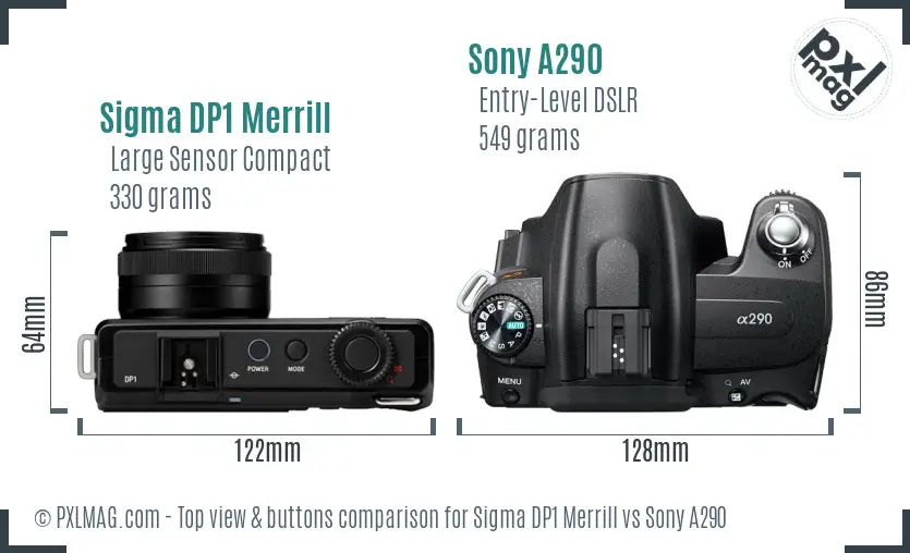 Sigma DP1 Merrill vs Sony A290 top view buttons comparison