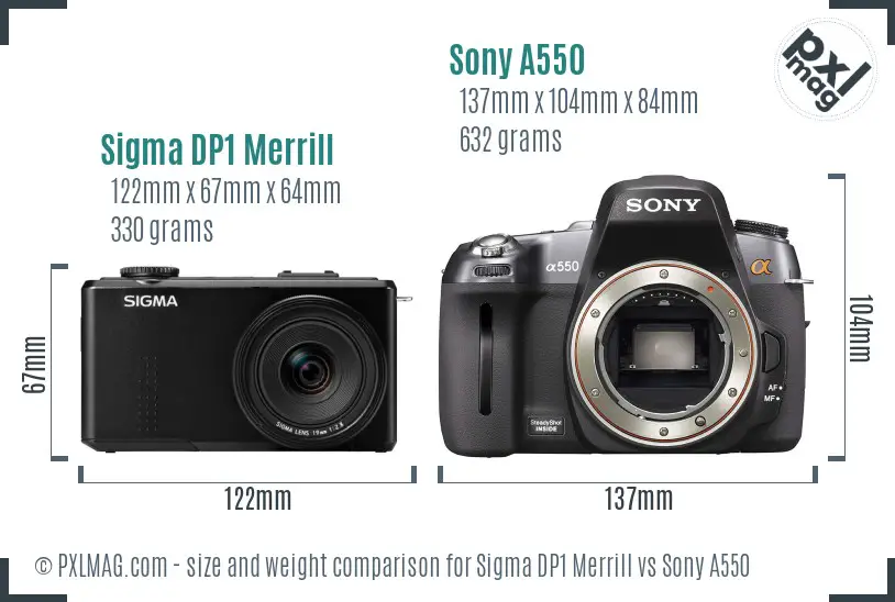 Sigma DP1 Merrill vs Sony A550 size comparison