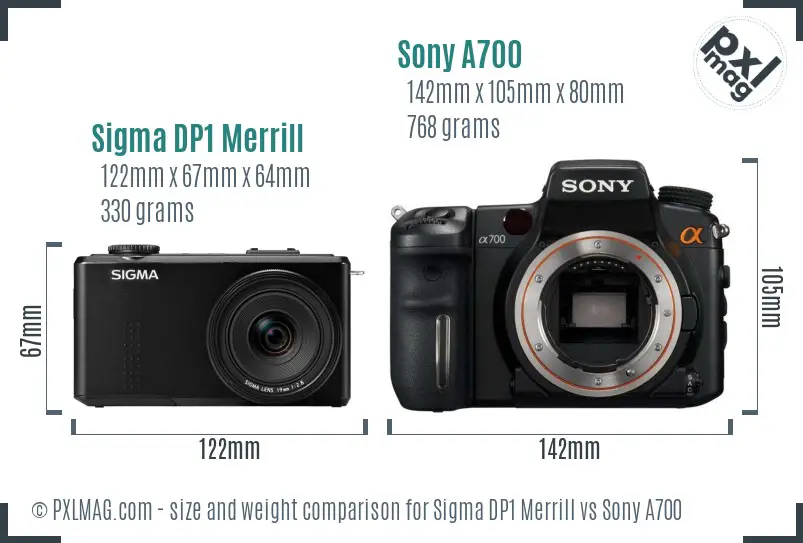 Sigma DP1 Merrill vs Sony A700 size comparison