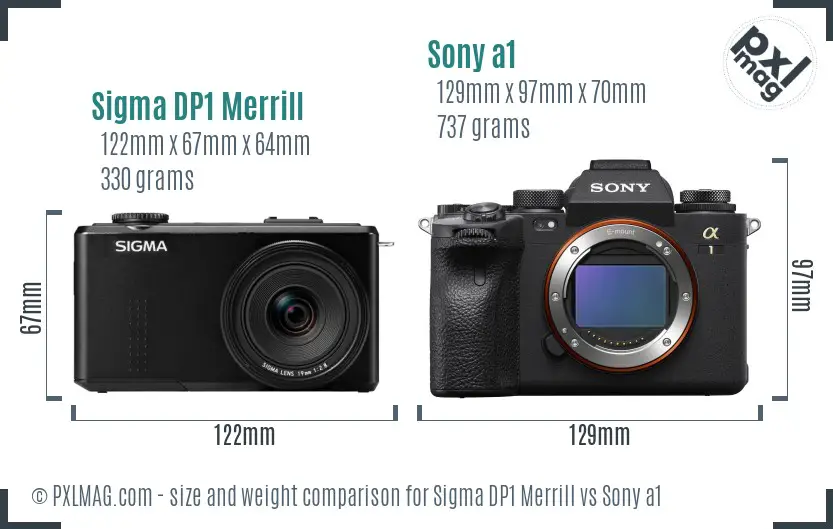 Sigma DP1 Merrill vs Sony a1 size comparison