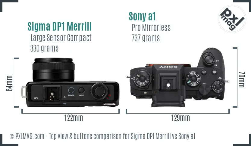 Sigma DP1 Merrill vs Sony a1 top view buttons comparison