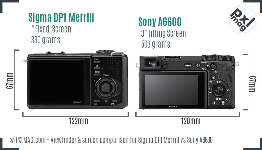 Sigma DP1 Merrill vs Sony A6600 Screen and Viewfinder comparison