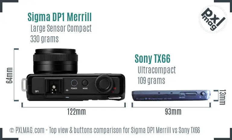 Sigma DP1 Merrill vs Sony TX66 top view buttons comparison