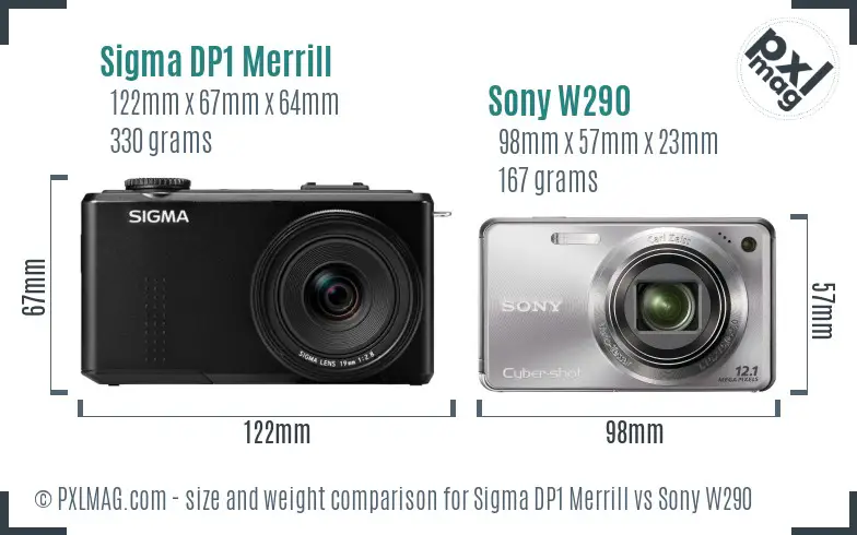 Sigma DP1 Merrill vs Sony W290 size comparison