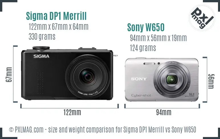 Sigma DP1 Merrill vs Sony W650 size comparison