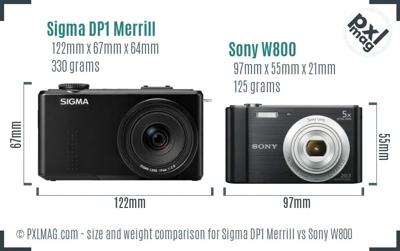 Sigma DP1 Merrill vs Sony W800 size comparison