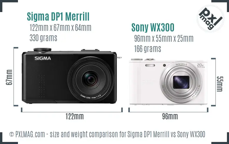 Sigma DP1 Merrill vs Sony WX300 size comparison