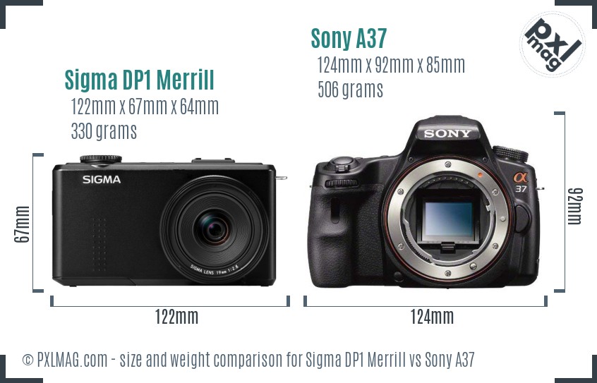 Sigma DP1 Merrill vs Sony A37 size comparison