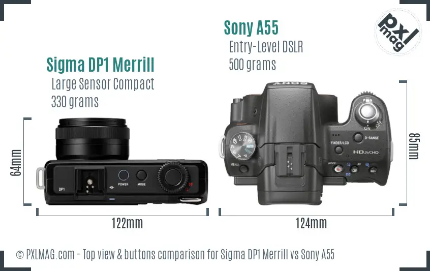 Sigma DP1 Merrill vs Sony A55 top view buttons comparison