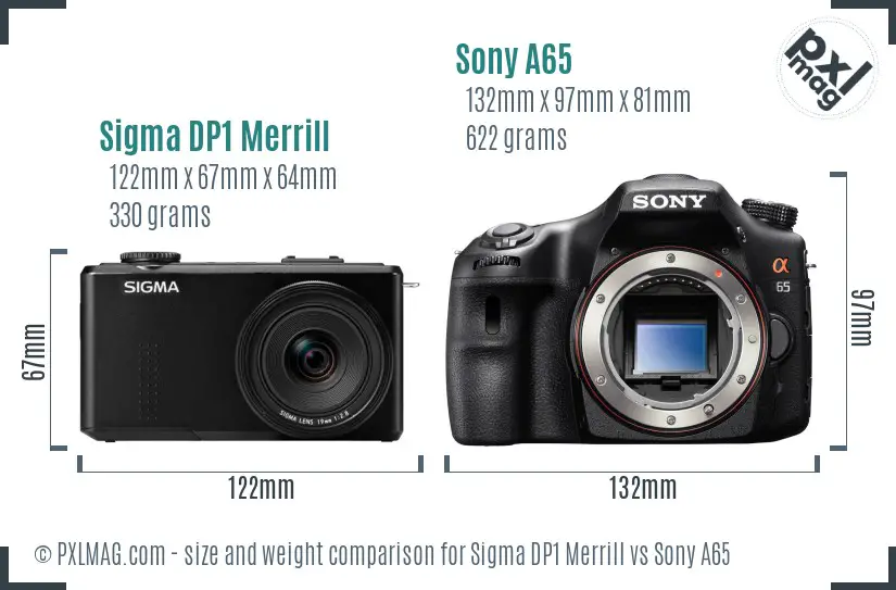 Sigma DP1 Merrill vs Sony A65 size comparison