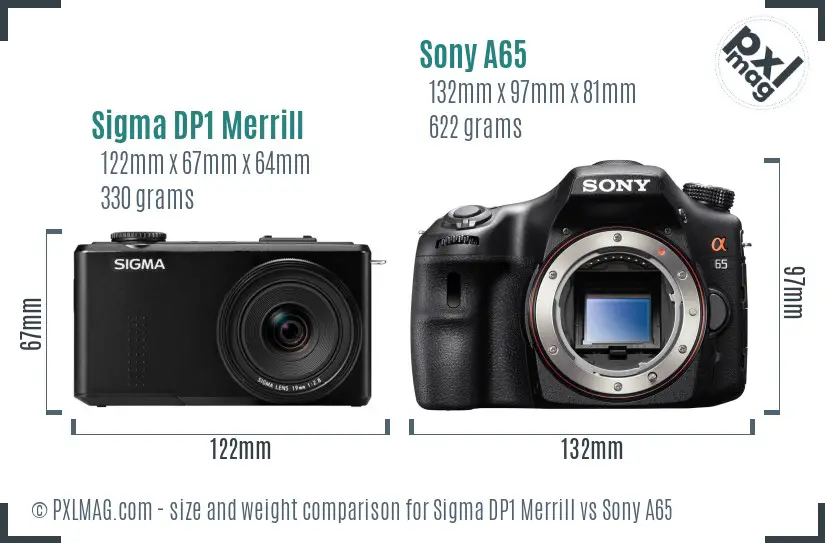 Sigma DP1 Merrill vs Sony A65 size comparison Sigma DP1 Merrill vs Sony A65 size comparison
