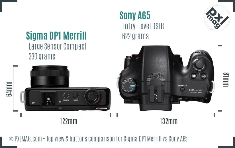 Sigma DP1 Merrill vs Sony A65 top view buttons comparison